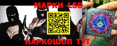 кокс Можга